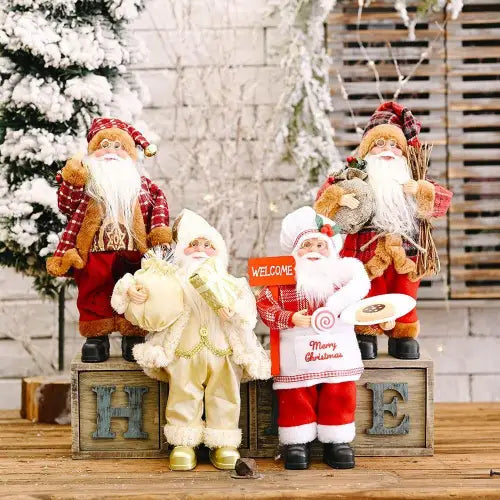 Charming Santa Gnome