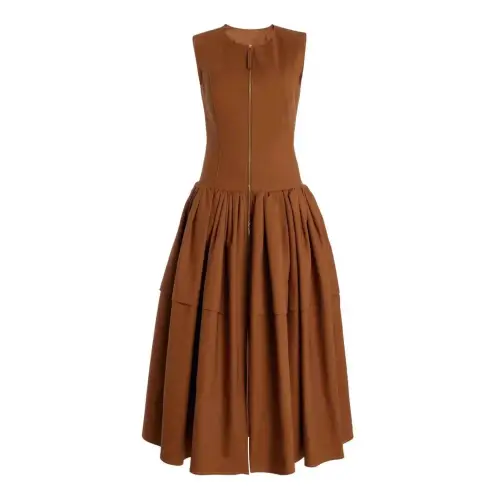 Luxury Brown Dress