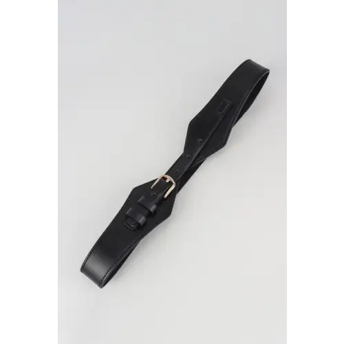 Geometric Elastic Belt