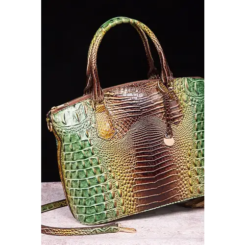 Mehgan Gradient Bag