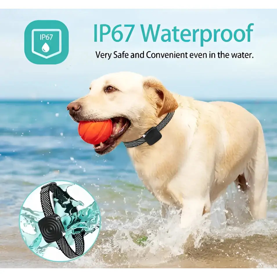Water Ripple Pattern Waterproofing USB Rechargeable Smart Color Screen Anti-Bark Collar - Vibration Dog Training Collar